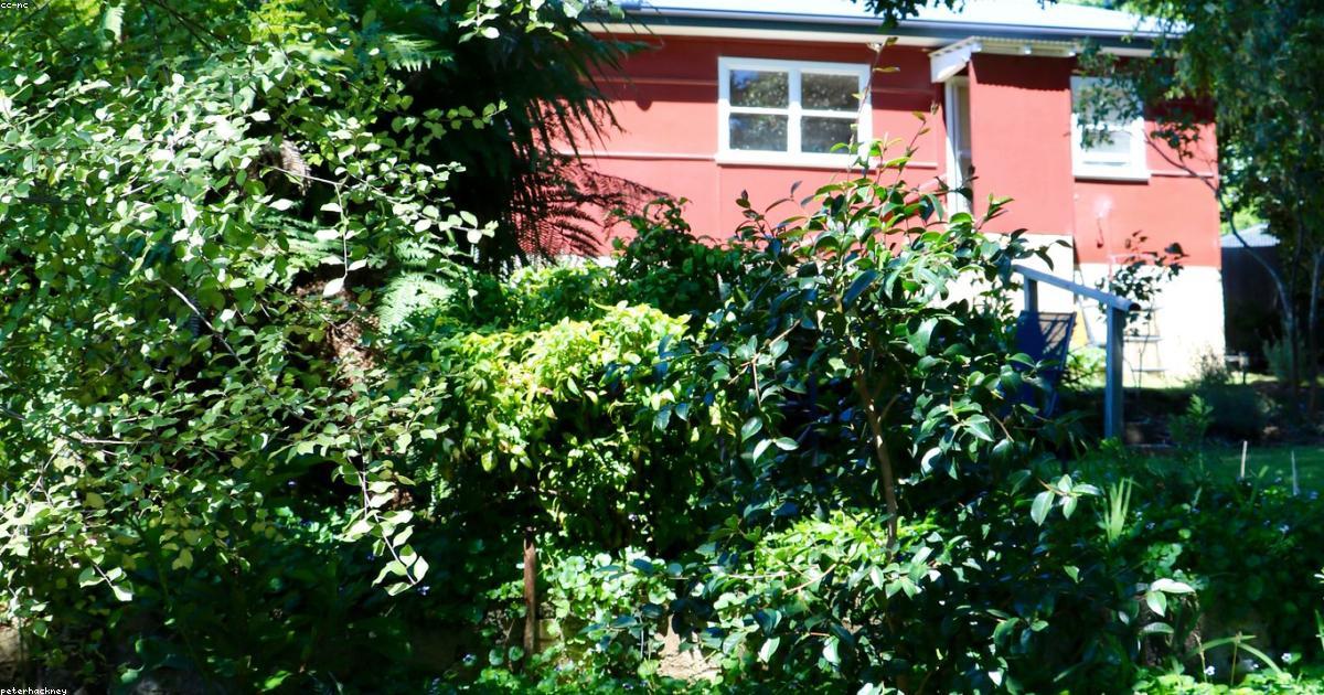 Detached ADU in a Colorado Springs backyard