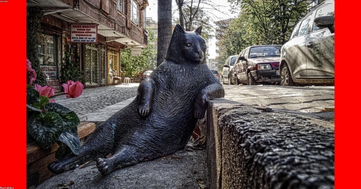 Modern home office studio ADU for remote workers